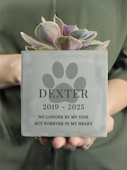 Personalised Pet Memorial Concrete Plant Pot by PMC - Image 2 of 3