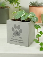Personalised Pet Memorial Concrete Plant Pot by PMC - Image 3 of 3