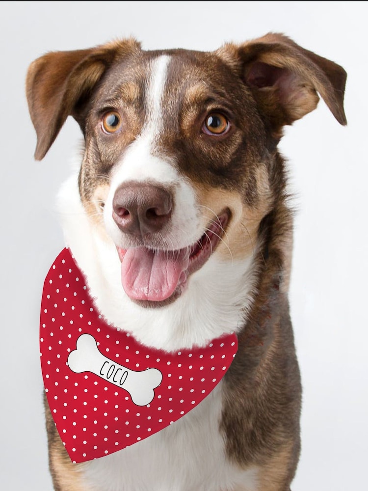 Personalised Polka Dot Dog Bandana by PMC - Image 1 of 2