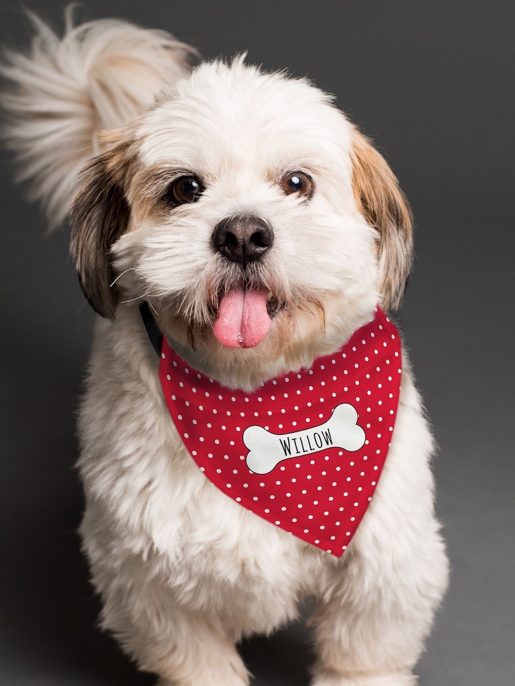 Personalised Polka Dot Dog Bandana by PMC - Image 2 of 2