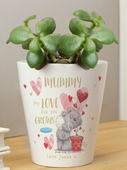 Personalised Me To You Love Grows Plant Pot by PMC - Image 1 of 3