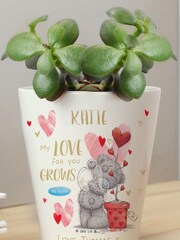 Personalised Me To You Love Grows Plant Pot by PMC - Image 3 of 3