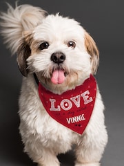 Personalised Love is Dog Bandana by PMC - Image 1 of 3