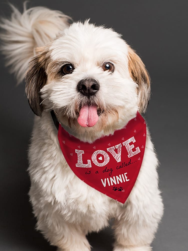 Personalised Love is Dog Bandana by PMC - Image 1 of 3