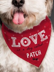 Personalised Love is Dog Bandana by PMC - Image 2 of 3