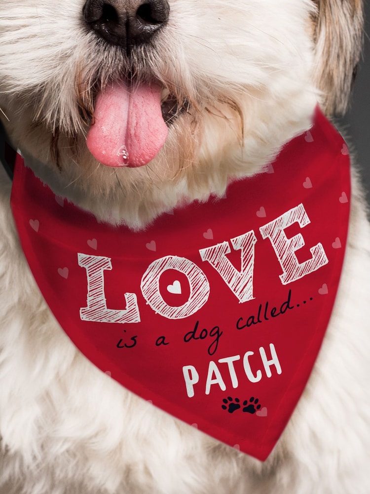 Personalised Love is Dog Bandana by PMC - Image 2 of 3