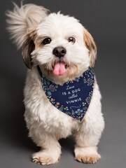 Blue Personalised Floral Dog Bandana by PMC - Image 3 of 3