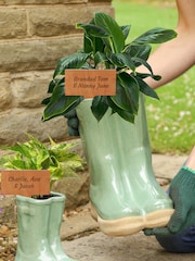 Green Plant Pot by Dibor - Image 2 of 3
