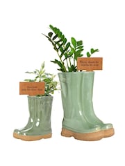 Green Plant Pot by Dibor - Image 3 of 3