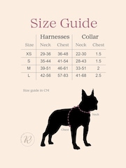 Personalised Balloon Pawty Adjustable Harness by RUFF - Image 3 of 3