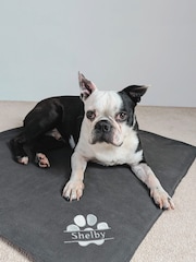 Personalised Travel Blanket by RUFF - Image 1 of 5