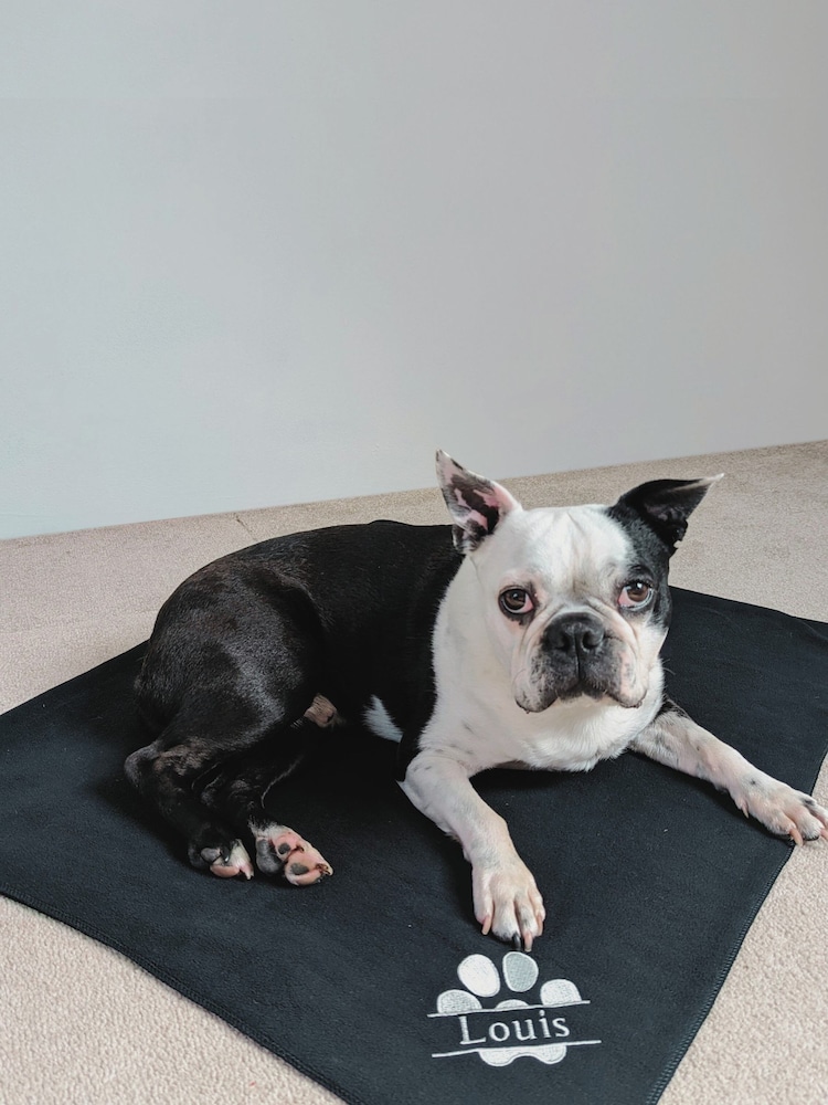 Personalised Travel Blanket by RUFF - Image 1 of 5