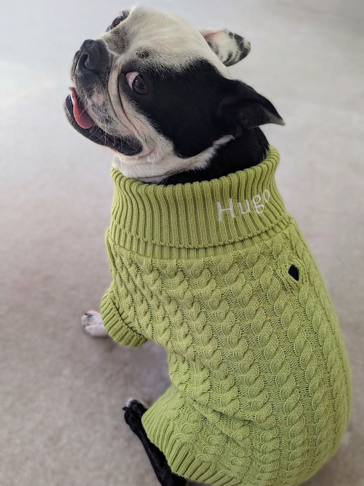 Personalised 100% Cotton Classic Knitted Roll Neck Jumper by RUFF - Image 1 of 5
