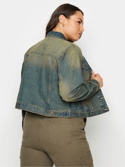 Yours Curve Blue Classic Denim 100% Cotton Jacket - Image 3 of 5