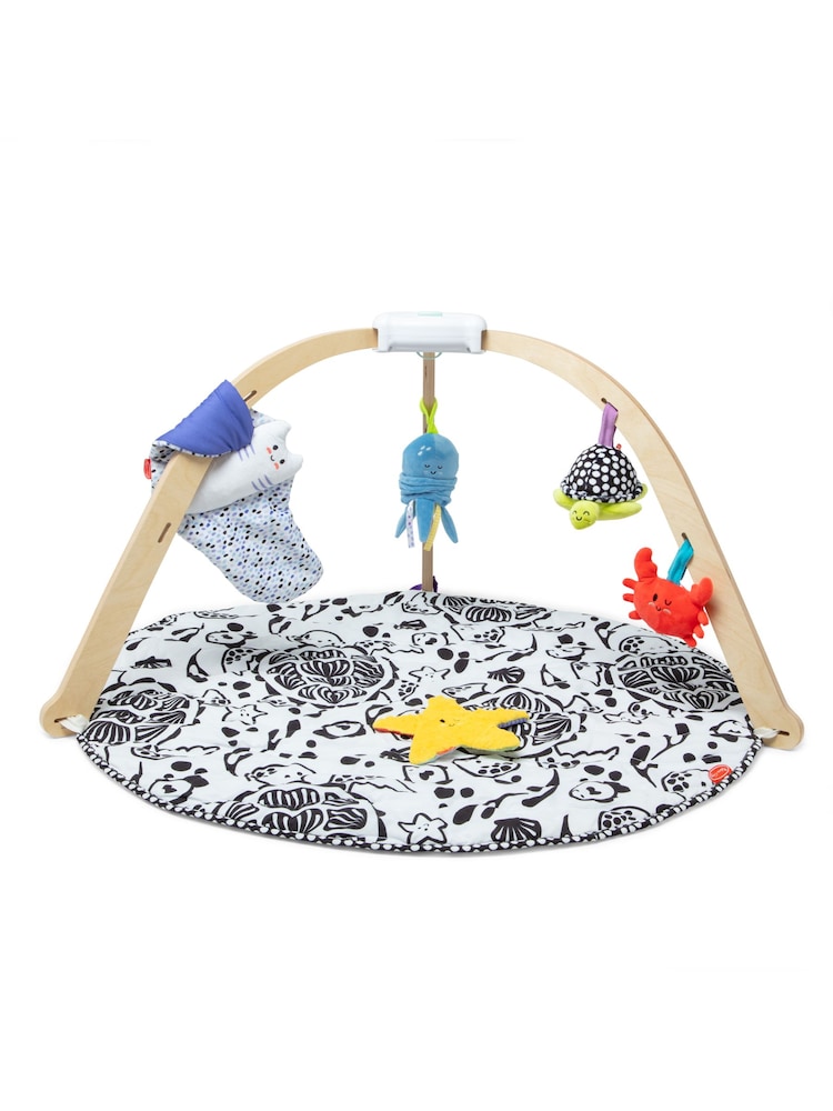 Melissa & Doug Ocean Easy-Fold Play Gym - Image 1 of 9