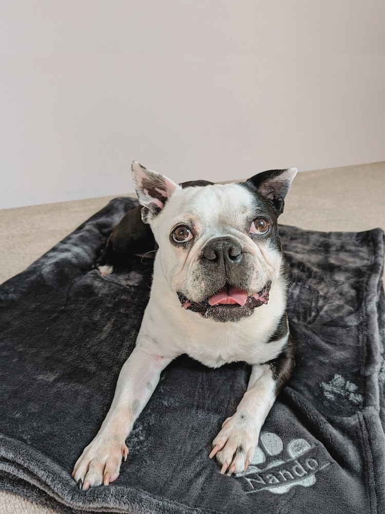 Personalised Pampered Pup Plush Blanket by RUFF - Image 1 of 5
