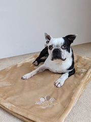 Personalised Pampered Pup Plush Blanket by RUFF - Image 1 of 5
