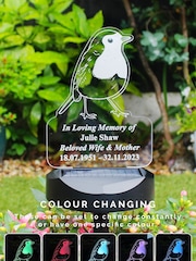 Personalised Robin Solar LED Light by PMC - Image 1 of 4