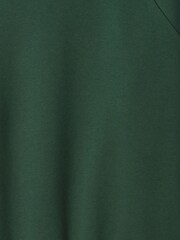 Gap Green Vintage Soft Raglan Crew Neck Jumper - Image 5 of 5