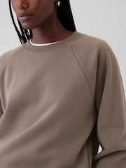 Gap Brown Vintage Soft Raglan Crew Neck Sweatshirt - Image 4 of 5