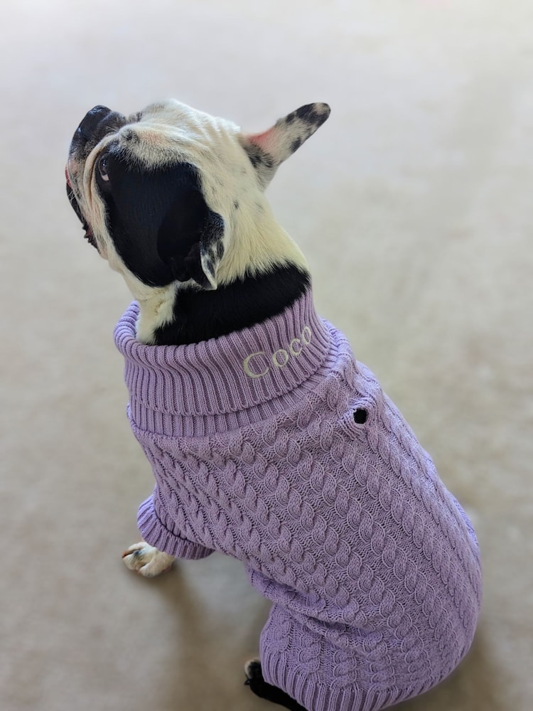 Personalised 100% Cotton Classic Knitted Roll Neck Jumper by RUFF - Image 1 of 5