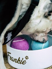 Personalised Small Dog Bowl by RUFF - Image 2 of 4