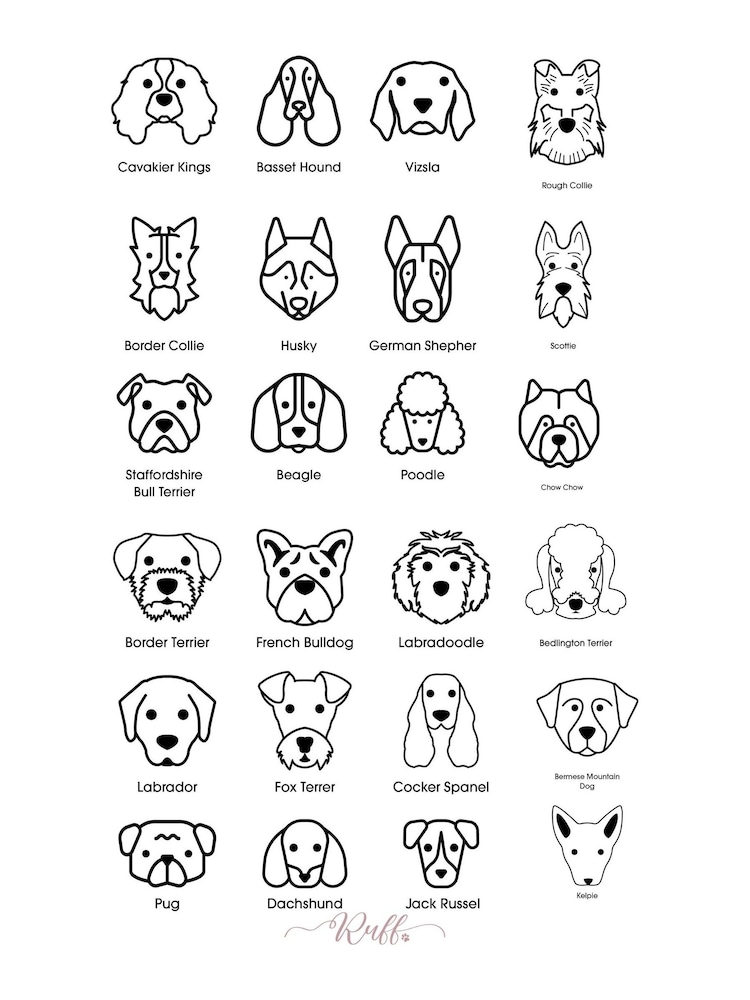 Personalised My Dog & Me Sweater by RUFF - Image 2 of 5