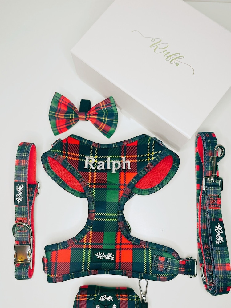 Balloon Pawty Harness Set by RUFF - Image 5 of 5