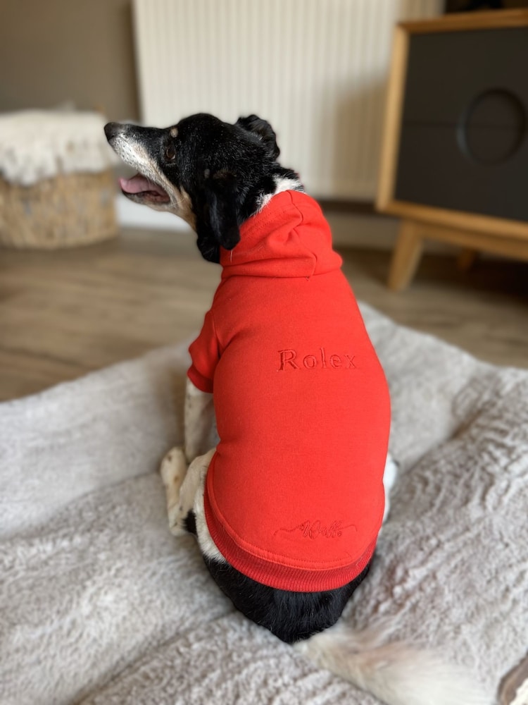 100% Cotton Personalised Luxury Dog Hoodie by RUFF - Image 1 of 5