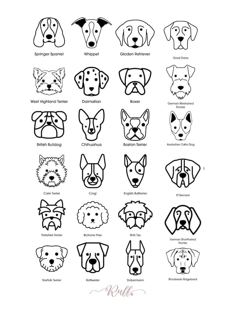 Personalised My Dog & Me Sweater by RUFF - Image 5 of 5