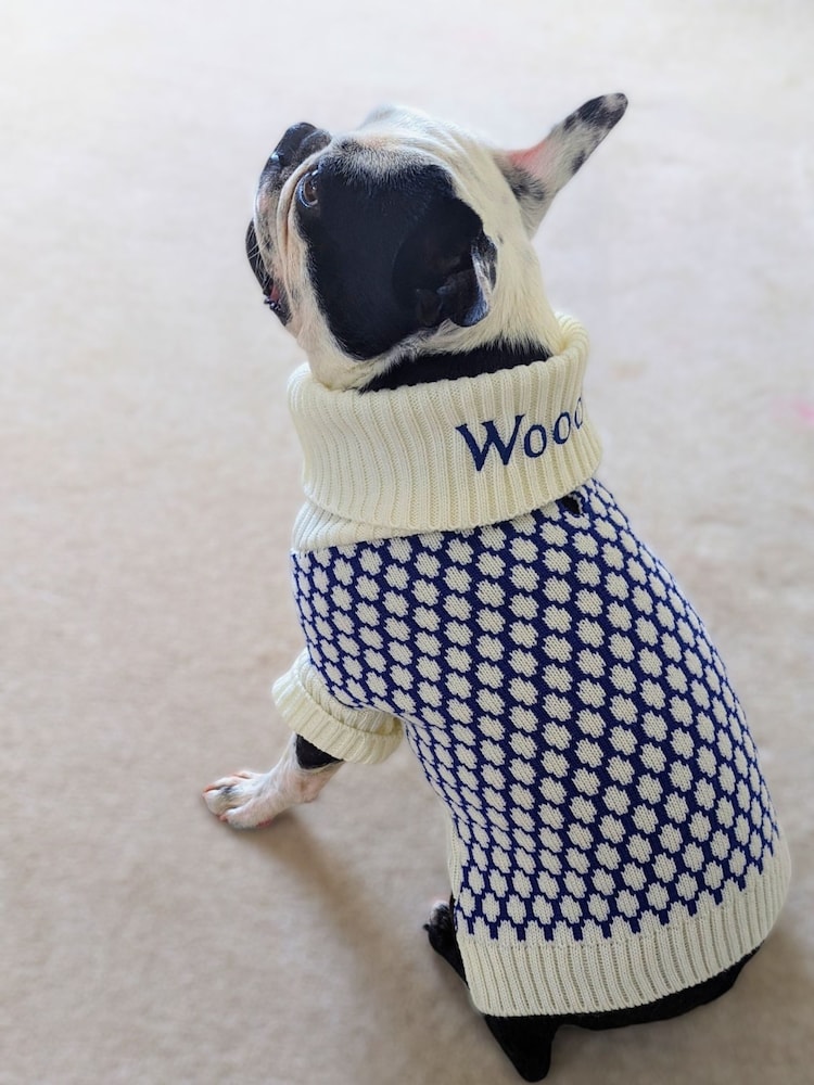 Personalised Premium Roll Neck Block 100% Cotton Jumper by RUFF - Image 1 of 5
