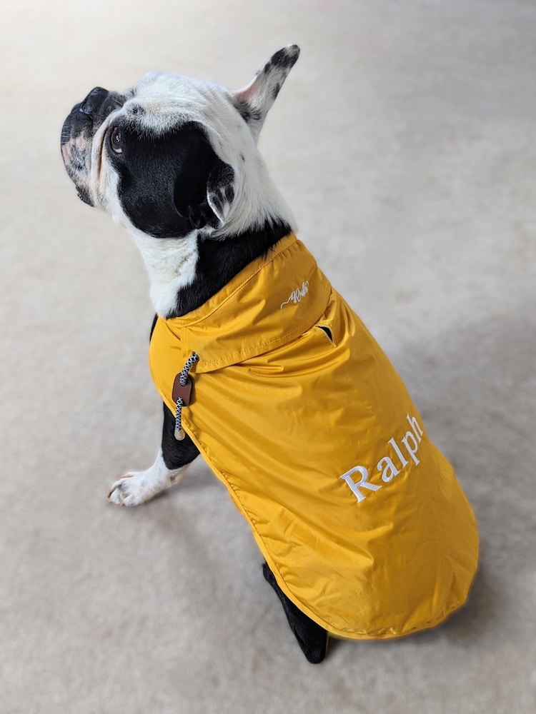 Personalised RainPaws Coat by RUFF - Image 1 of 5