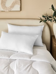 Set of 2 Medium Ultra Allergy Defence Pillows - Image 1 of 5