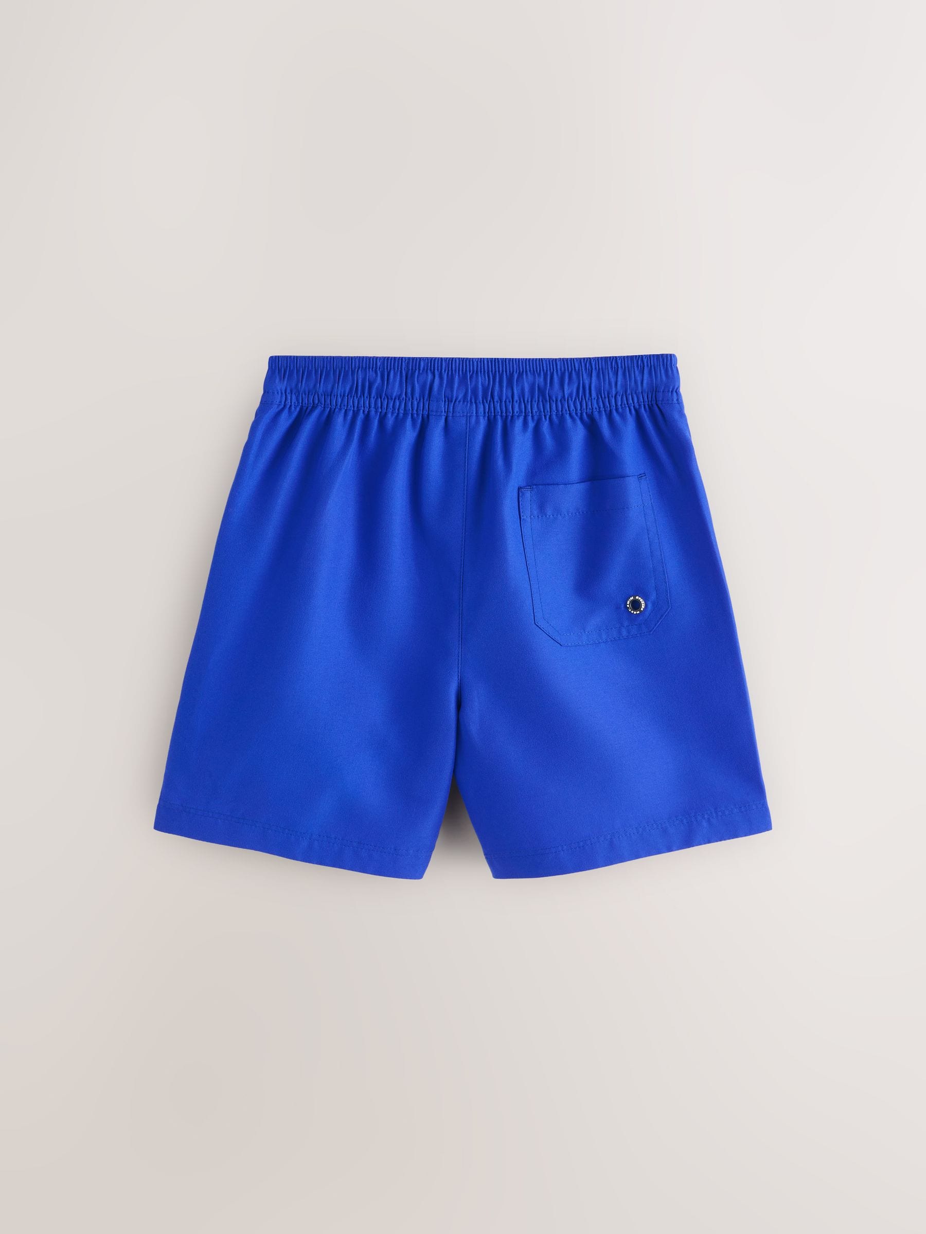 Buy Cobalt Blue and Navy Swim Shorts 2 Pack (1.5-16yrs) from Next USA