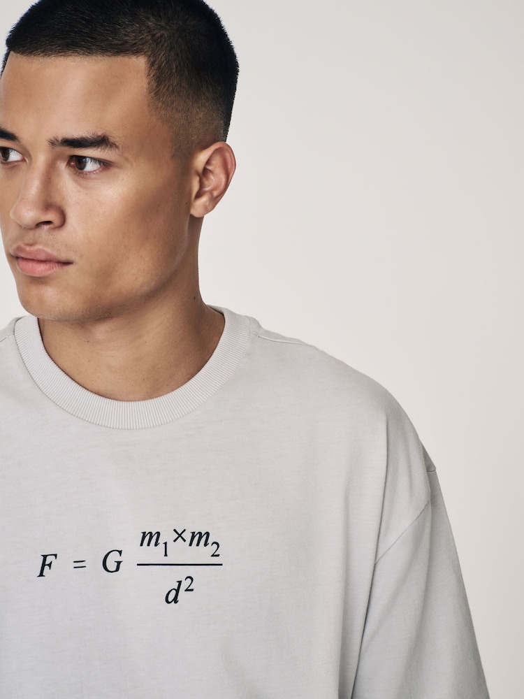 Grey Isaac Newton Licence 100% Cotton Graphic T-Shirt - Image 4 of 8
