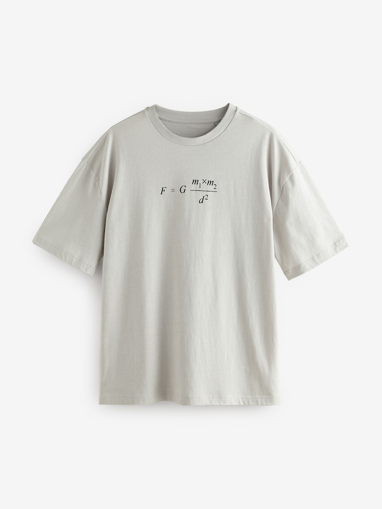 Grey Isaac Newton Licence 100% Cotton Graphic T-Shirt - Image 5 of 8