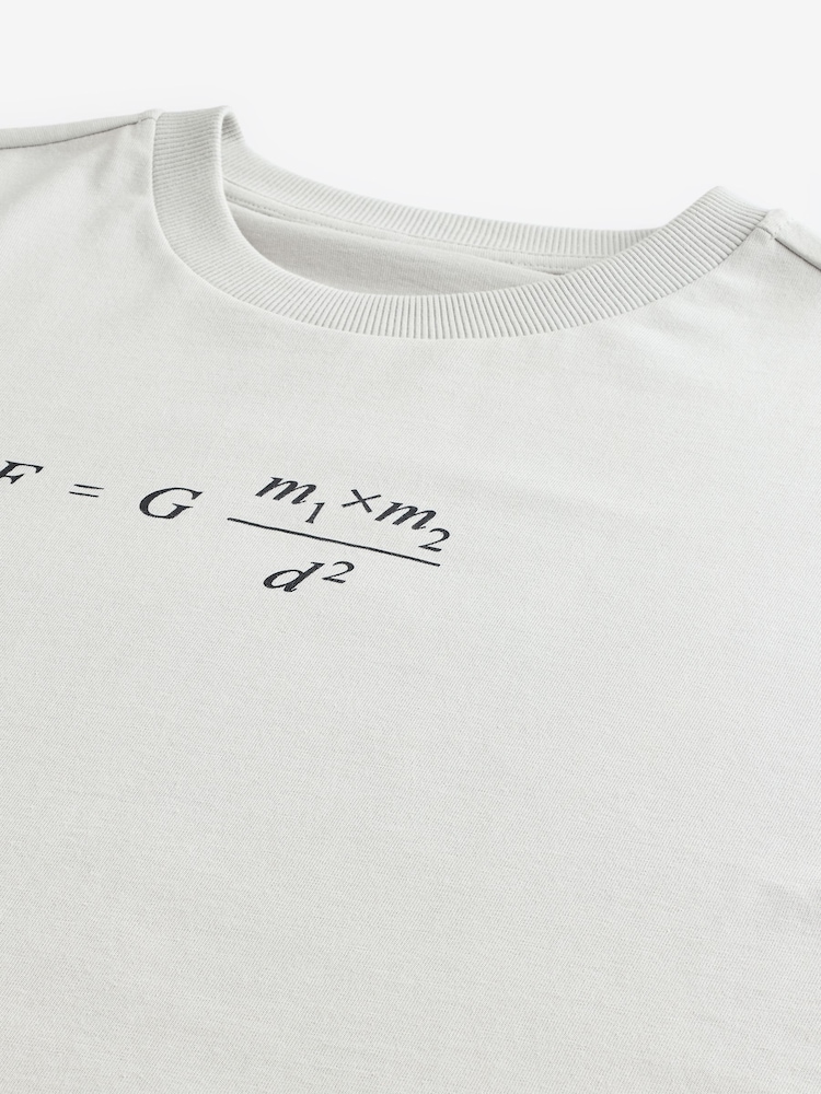Grey Isaac Newton Licence 100% Cotton Graphic T-Shirt - Image 7 of 8