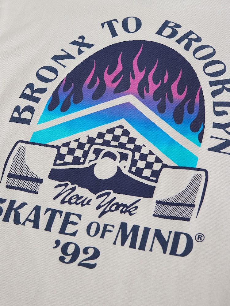 Grey/Blue Skate Relaxed Fit Graphic Print Short Sleeve T-Shirts 3 Pack (3-16yrs) - Image 3 of 4