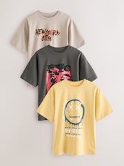 Ogleno siva skate - Sproščeno prilegajoča se grafična majica s kratkimi rokavi 100% Bombažne majice 3 Pack (3-16yrs) - Slika 1 iz 4