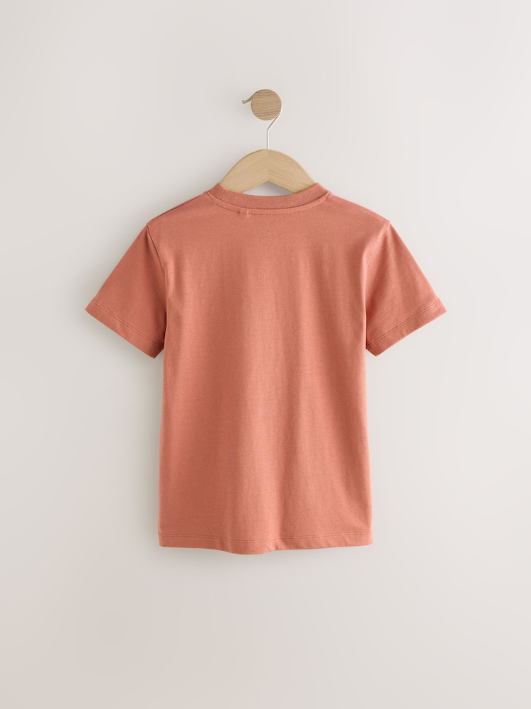 Rust Regular Fit Short Sleeve T-Shirt (3-16yrs) - Image 2 of 4