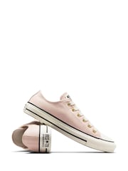 Converse Pink Standard Fit Chuck Taylor All Star Ox Trainers - Image 7 of 8