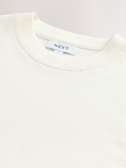 Ecru White Regular Fit Cotton Rich Textured Knit Crew T-Shirt - Image 7 of 8