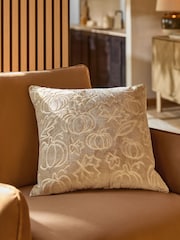 Neutral Cut Velvet Pumpkin Cushion - Image 1 of 5