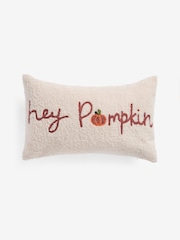 Natural Embroidered Hey Pumpkin Borg Slogan Cushion - Image 4 of 5
