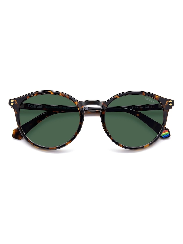 Polaroid Havanas Panthos Brown Sunglasses - Image 2 of 7