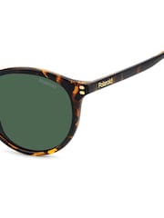 Polaroid Havanas Panthos Brown Sunglasses - Image 5 of 7