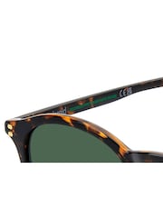 Polaroid Havanas Panthos Brown Sunglasses - Image 6 of 7
