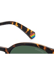 Polaroid Havanas Panthos Brown Sunglasses - Image 7 of 7