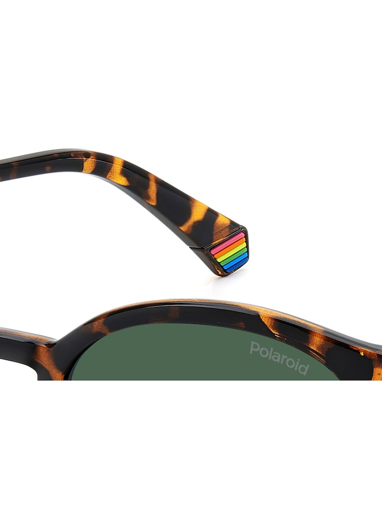 Polaroid Havanas Panthos Brown Sunglasses - Image 7 of 7