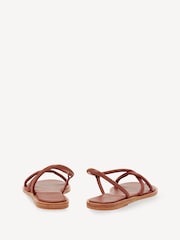 Ancient Greek Sandals Brown Bomba Leather Sandals - Image 2 of 3